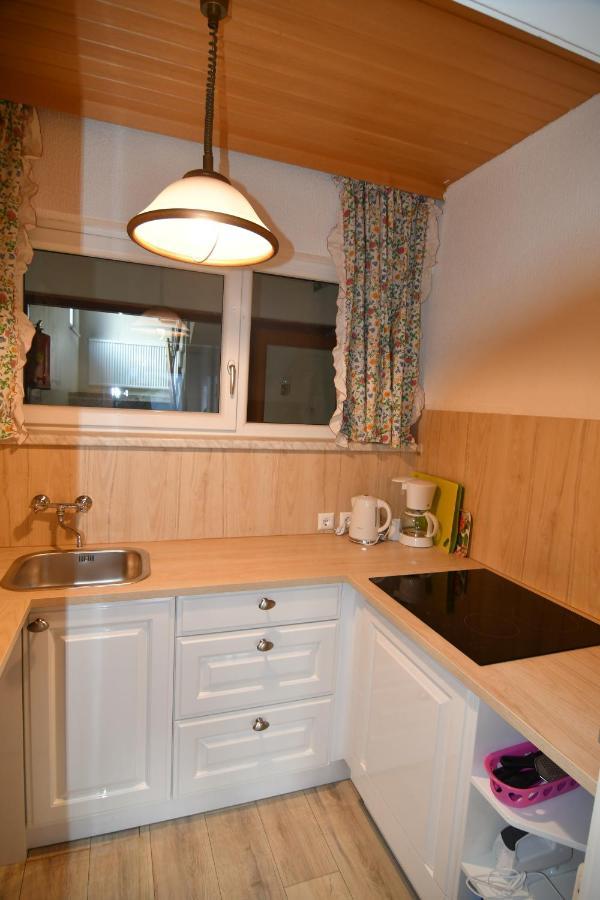 Mountain View Apartment Bad Mitterndorf Dış mekan fotoğraf